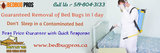 Bed Bug Pros, Kitchener