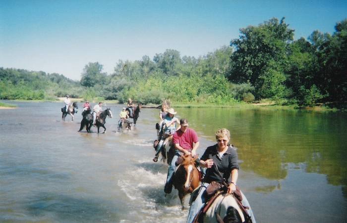  Profile Photos of Meramec Farm Cabins and Gaited Breeds Trail Rides 208 Thickety Ford Road - Photo 1 of 3