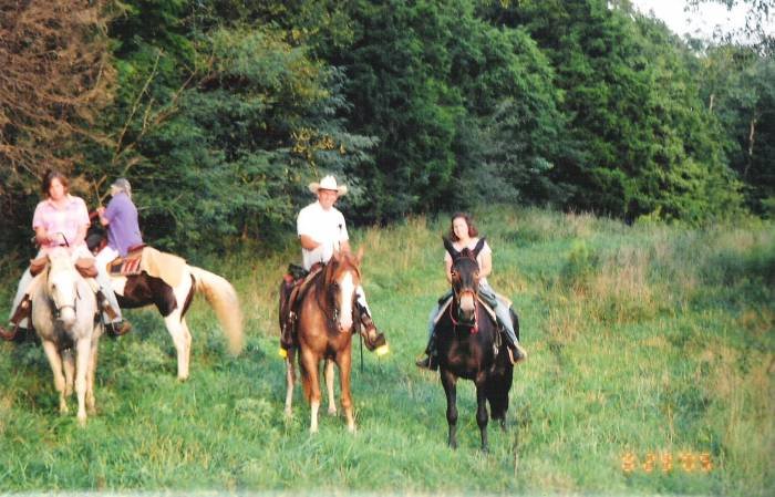  Profile Photos of Meramec Farm Cabins and Gaited Breeds Trail Rides 208 Thickety Ford Road - Photo 3 of 3