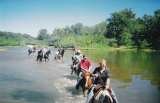 Meramec Farm Cabins and Gaited Breeds Trail Rides, Bourbon
