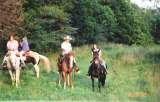 Meramec Farm Cabins and Gaited Breeds Trail Rides, Bourbon
