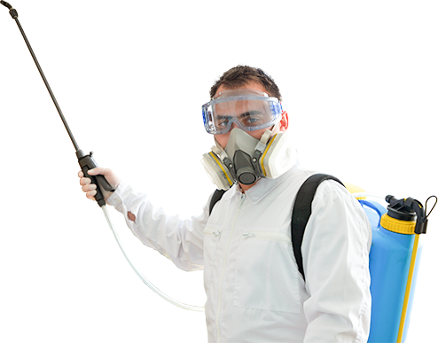 Profile Photos of Pest Control Tring Westron Gardens - Photo 1 of 1