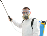 Pest Control Tring, London