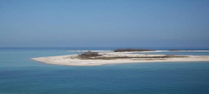  Profile Photos of Florida Fishing Trips None - Photo 1 of 1