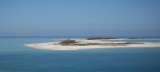 Florida Fishing Trips, None