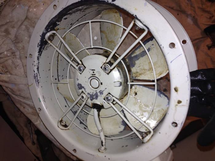  Profile Photos of Ocean cleaning 43 caxton road - Photo 1 of 24