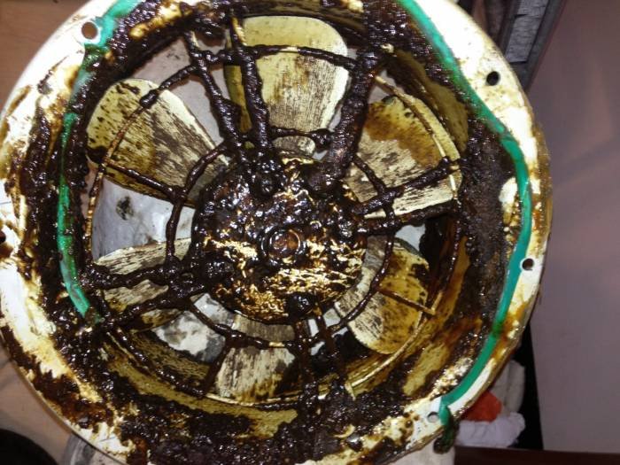  Profile Photos of Ocean cleaning 43 caxton road - Photo 12 of 24