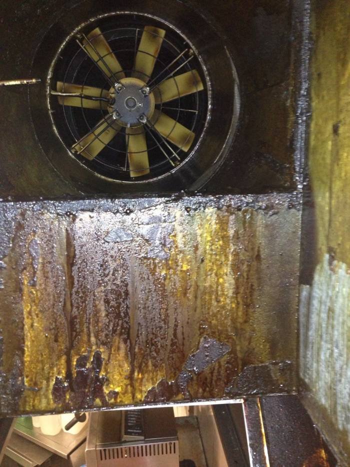  Profile Photos of Ocean cleaning 43 caxton road - Photo 8 of 24