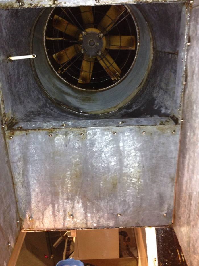  Profile Photos of Ocean cleaning 43 caxton road - Photo 7 of 24