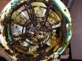  Ocean cleaning 43 caxton road 