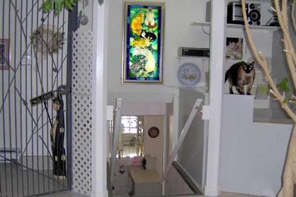  Profile Photos of Angelica Blue Montreal Bed & Breakfast 1213 Rue Sainte Ã‰lisabeth - Photo 2 of 3