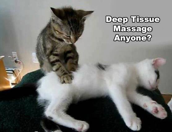 Kitty Deep Tissue Massage Massage of Massage Professionals of Jackson Hole Jackson Hole - Photo 17 of 19
