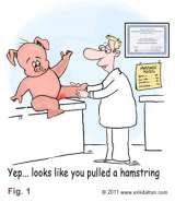 Comic - pulled hamstring Massage Professionals of Jackson Hole Jackson Hole 