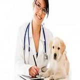 Central Whidbey Veterinary Services, Coupeville