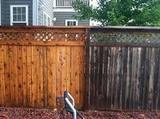  Fence Repair Colorado Springs 6360 Snowbird Dr 