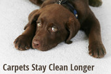 Heaven's Best Carpet Cleaning San Marcos TX, San Marcos