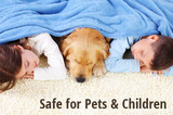 Heaven's Best Carpet Cleaning San Marcos TX, San Marcos