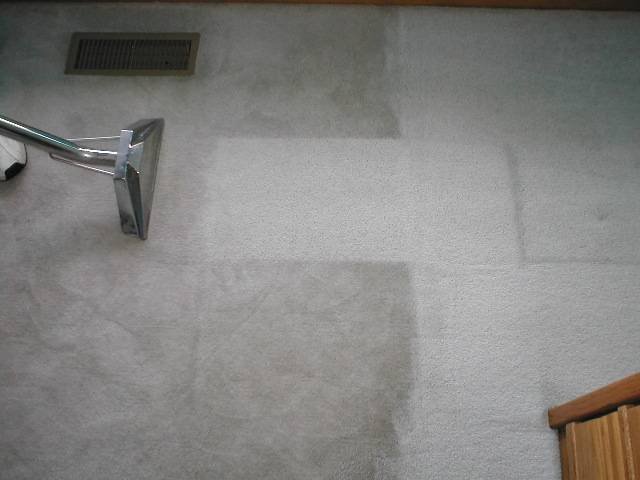 Steam carpet cleaning in Mesa AZ Profile Photos of Carpet Medic 7255 E. Hampton Avenue - Photo 1 of 4