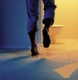 water damage services in Mesa Arizona, Carpet Medic, Mesa