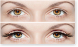 HairFree Laser Center HairFree Laser Center 16661 Ventura Blvd., Suite 409 