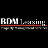 BDM Leasing, albu