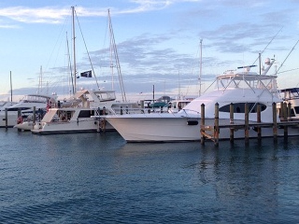  Profile Photos of Key West Charter Boats 422 Whalton Lane - Photo 2 of 3