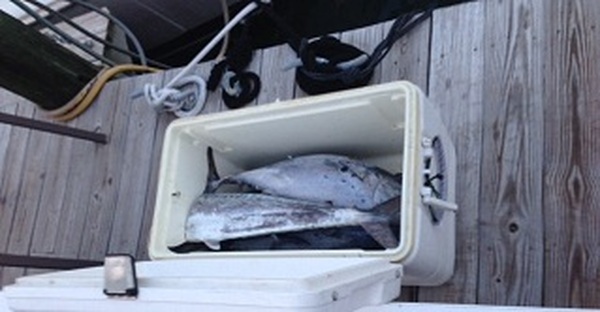  Profile Photos of Key West Charter Boats 422 Whalton Lane - Photo 3 of 3