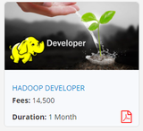 Menus & Prices, Mapping Minds - Hadoop Big Data Certification and training Institute, Delhi, Karol Bagh