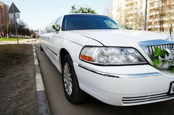  Profile Photos of Party Bus Rental Denver 2905 Inca Street #5113 North - Photo 3 of 4