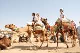 Rajwada Holidays, Jaipur Rajasthan India