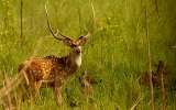 Wildlife Tours in India, World Trade Centre, Barakhamba Lane,