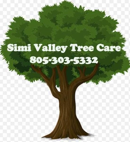  Profile Photos of Simi Valley Tree Care 1197 E Los Angeles Ave, Unit C-201 - Photo 1 of 4
