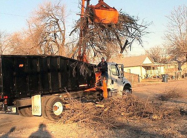  Profile Photos of Simi Valley Tree Care 1197 E Los Angeles Ave, Unit C-201 - Photo 3 of 4