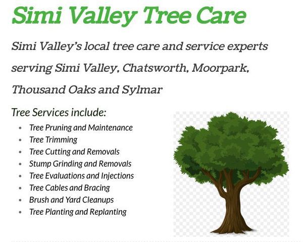  Profile Photos of Simi Valley Tree Care 1197 E Los Angeles Ave, Unit C-201 - Photo 4 of 4