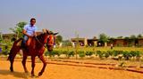  PRATAPGARH FARMS & RESORTS JHAJJAR Near Railway Station- Gwalison Road 