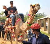  PRATAPGARH FARMS & RESORTS JHAJJAR Near Railway Station- Gwalison Road 