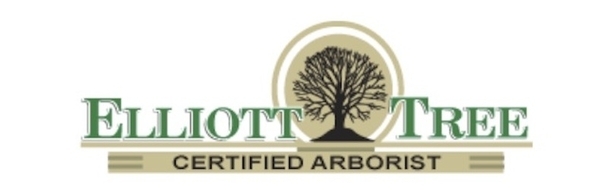  Profile Photos of Elliott Tree 94 Wachusett Street - Photo 1 of 11