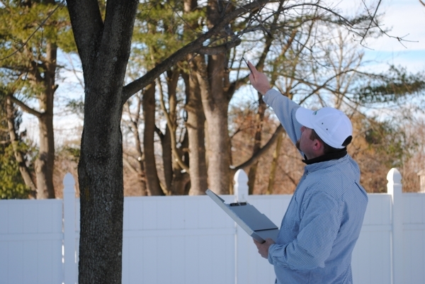  Profile Photos of Elliott Tree 94 Wachusett Street - Photo 3 of 11