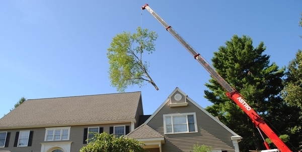  Profile Photos of Elliott Tree 94 Wachusett Street - Photo 11 of 11
