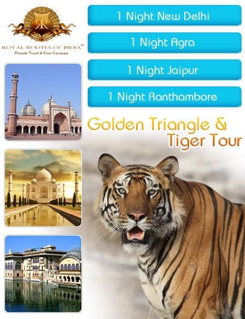  Profile Photos of Royal Routes of India 6, Geejgarh Vihar, Hawa Sarak Jaipur - Photo 11 of 31