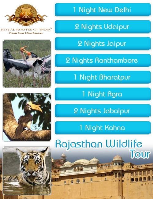 Profile Photos of Royal Routes of India 6, Geejgarh Vihar, Hawa Sarak Jaipur - Photo 8 of 31