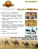  Royal Routes of India 6, Geejgarh Vihar, Hawa Sarak Jaipur 