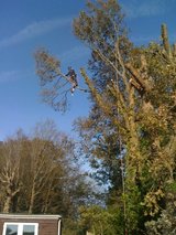 CJF Greencare, North Chailey