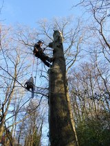 CJF Greencare, North Chailey