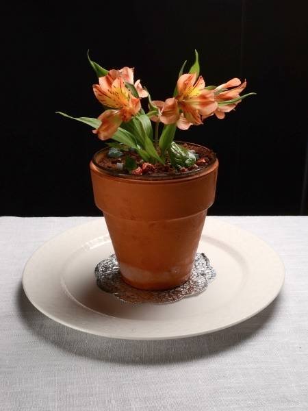 Flower pot; three chocolate mousse - La maceta con flores; mousse de tres chocolates Gourmet creations - Dishes of Cafe des Artistes Guadalupe Sanchez 740, Downtown nh - Photo 1 of 17 Flower pot; three chocolate mousse - La maceta con flores; mousse de tres chocolates Gourmet creations - Dishes of Cafe des Artistes Guadalupe Sanchez 740, Downtown nh - Photo 1 of 17