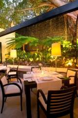 Inside Garden - Jardin Interior Cafe des Artistes Guadalupe Sanchez 740, Downtown nh 
