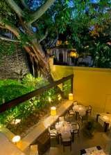 Inside garden - Jardin interior (View from rooftop 2) Cafe des Artistes Guadalupe Sanchez 740, Downtown nh 