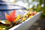 Rain gutter full of autumn leaves, Gutter Cleaning Camberwell, Camberwell