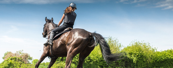  Profile Photos of Northbrook Equestrian New Road,Offord Cluny ,St Neots - Photo 8 of 10