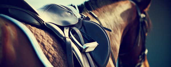  Profile Photos of Northbrook Equestrian New Road,Offord Cluny ,St Neots - Photo 10 of 10